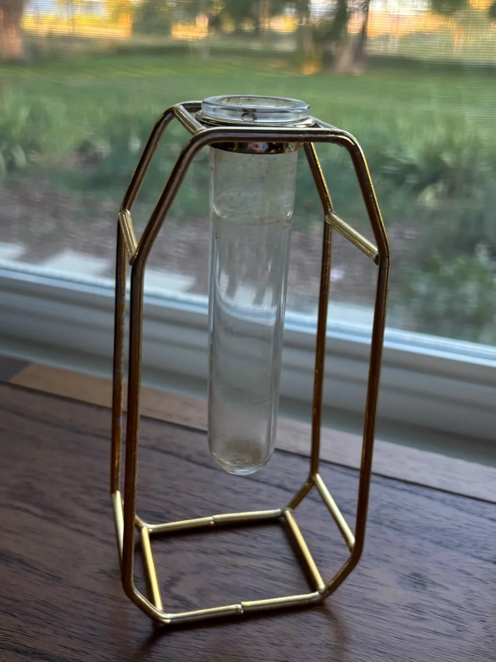 Gold Geometric Single-Stem Vase with Clear Glass Tube